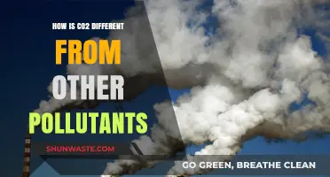 CO2: A Unique Pollutant's Impact