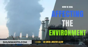 Coal's Environmental Impact: Pollution, Climate Change, and Ecosystem Destruction