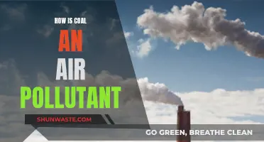 Coal's Dark Side: Air Pollution and Its Impact