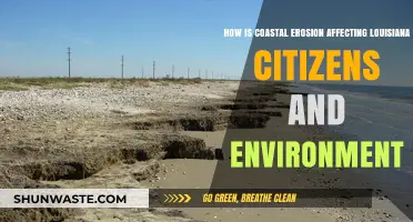 Louisiana's Vanishing Coast: Erosion's Impact on Communities and Ecosystems