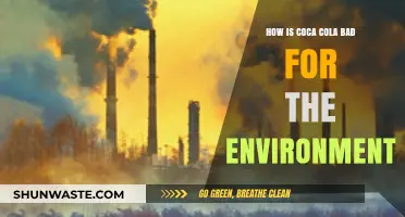 Coca-Cola's Environmental Impact: Pollution, Plastic Waste, and Sustainability Concerns