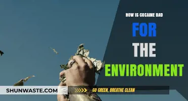 Cocaine's Hidden Cost: Environmental Destruction and Ecosystem Devastation Explained