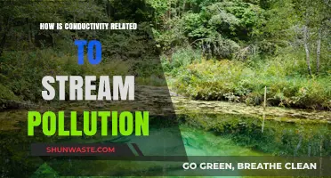 Stream Pollution: Conductivity's Impact on Aquatic Ecosystems