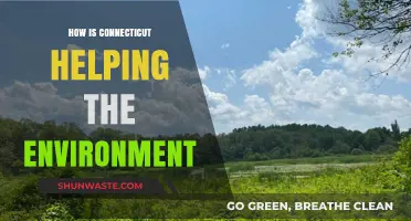 Connecticut's Green Initiatives: Leading Environmental Conservation Efforts