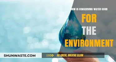 Water Conservation: Protecting Ecosystems, Saving Energy, and Sustaining Our Planet