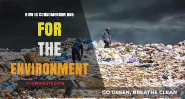 Consumerism's Dark Side: Environmental Degradation and Unsustainable Practices