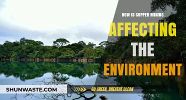 Copper Mining's Environmental Impact: Pollution, Habitat Loss, and Ecosystem Disruption