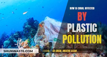 Coral's Plastic Pollution Plight: Understanding the Impact