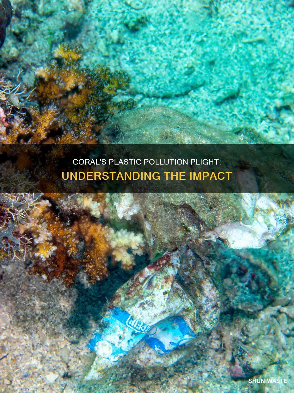 how is coral affected by plastic pollution