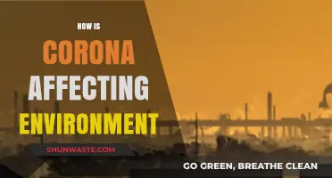 Corona's Impact: Unveiling the Pandemic's Surprising Environmental Consequences