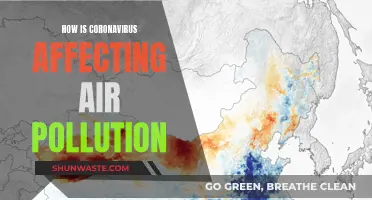 Air Pollution and Coronavirus: A Complex Relationship