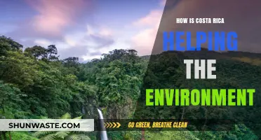 Costa Rica's Green Revolution: Leading Environmental Conservation Efforts Globally