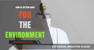 Cotton's Eco-Friendly Impact: Sustainable Benefits for a Greener Planet