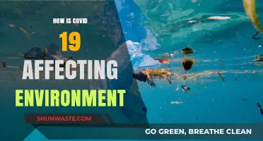 COVID-19's Environmental Impact: Positive Changes and Lingering Challenges