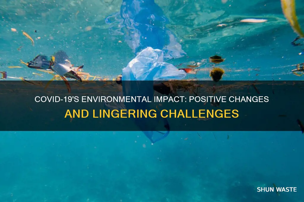 how is covid 19 affecting environment