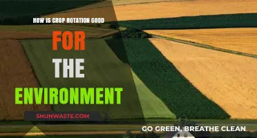Crop Rotation: Sustainable Farming's Eco-Friendly Soil Health Solution