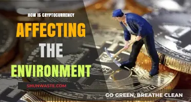 Cryptocurrency's Environmental Impact: Uncovering the Hidden Costs of Digital Currency