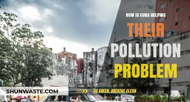 Cuba's Pollution Solution: A Green Revolution