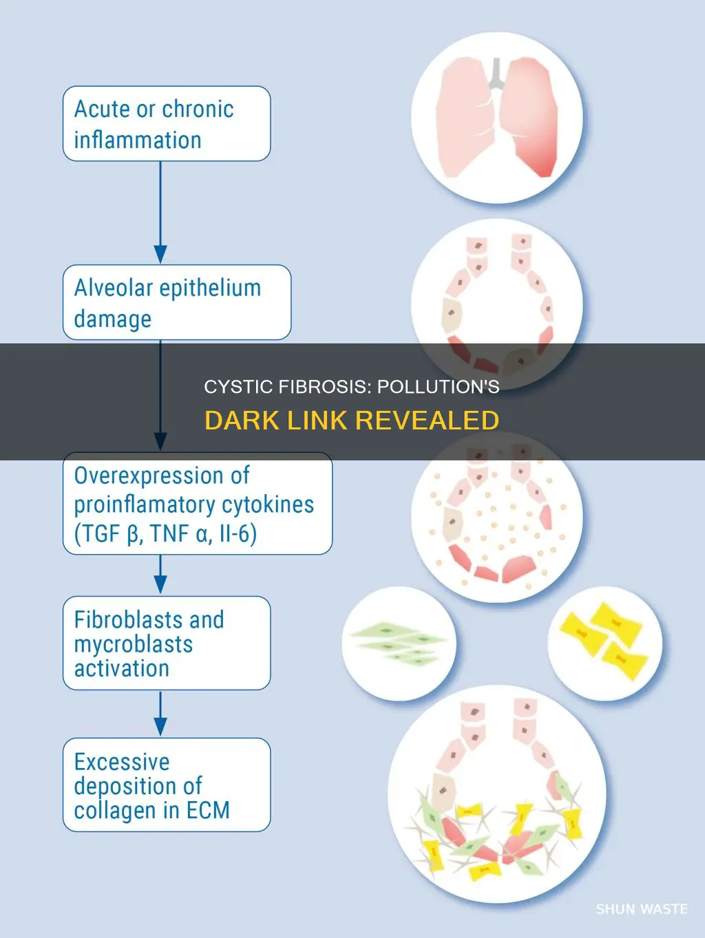 how is cystic fibrosis related to pollution