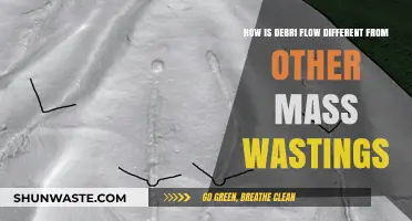 Debris Flow vs. Mass Wasting: Key Differences Explained