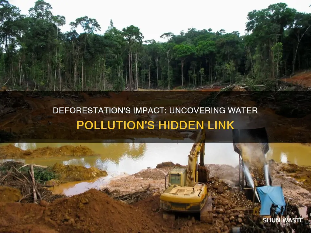 how is deforestation a cause of water pollution