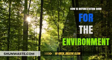 Deforestation's Surprising Environmental Benefits: A Balanced Perspective