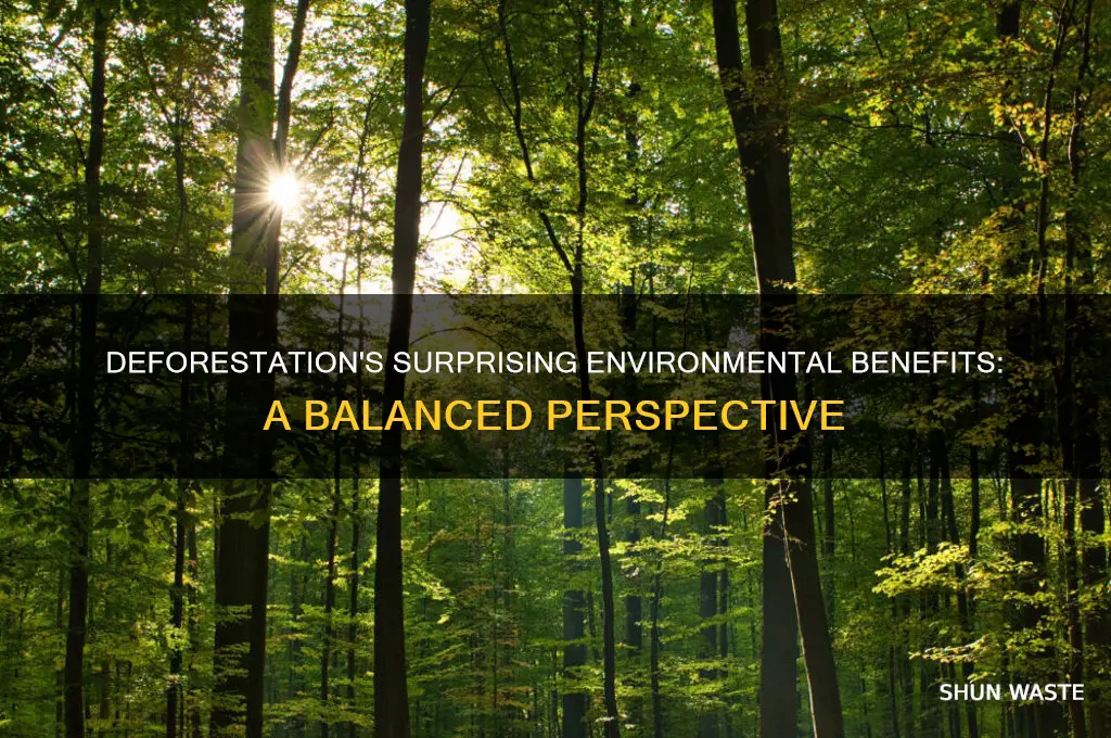 how is deforestation good for the environment