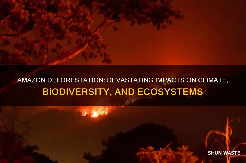 how is deforestation in the amazon affecting the environment