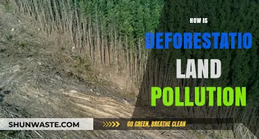 Deforestation's Impact: Land Pollution and Environmental Degradation