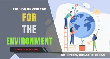 Eco-Friendly Inbox: How Deleting Emails Reduces Your Carbon Footprint