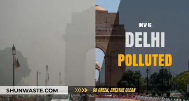 Delhi's Polluted Air: A Public Health Crisis