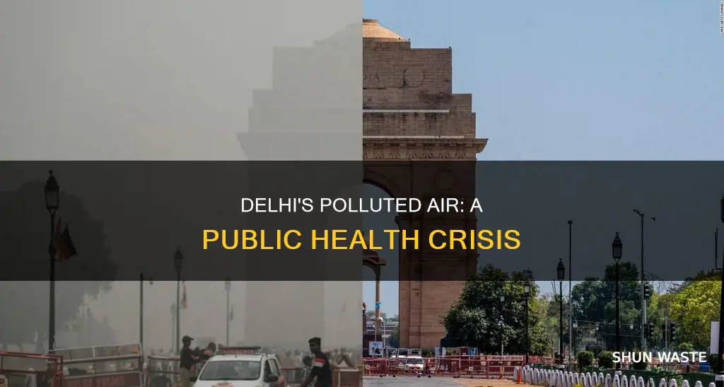 how is delhi polluted