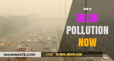 Delhi's Pollution: A City's Battle for Breath