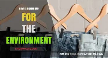 Denim's Dark Side: Environmental Impact of Your Favorite Jeans