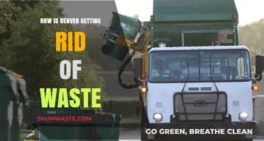 Denver's Innovative Waste Management: Strategies for a Cleaner, Greener City