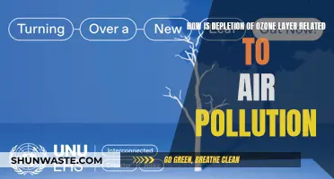 Ozone Layer Depletion: Air Pollution's Sinister Twin