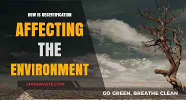 Desertification's Devastating Impact: Unraveling Environmental Consequences and Urgent Solutions