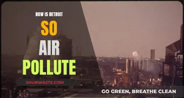 Detroit's Air Pollution Crisis: Causes and Concerns