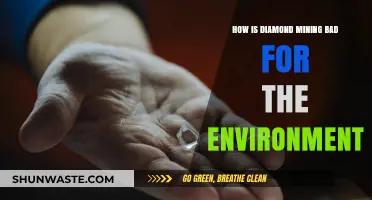 Diamond Mining's Devastating Environmental Impact: Soil, Water, and Ecosystems at Risk