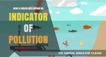 Oxygen Levels: Pollution's Canary in the Coal Mine
