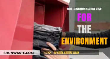 Donating Clothes: A Simple Eco-Friendly Act with Big Environmental Impact