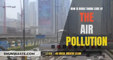 Dubai's Fight Against Air Pollution