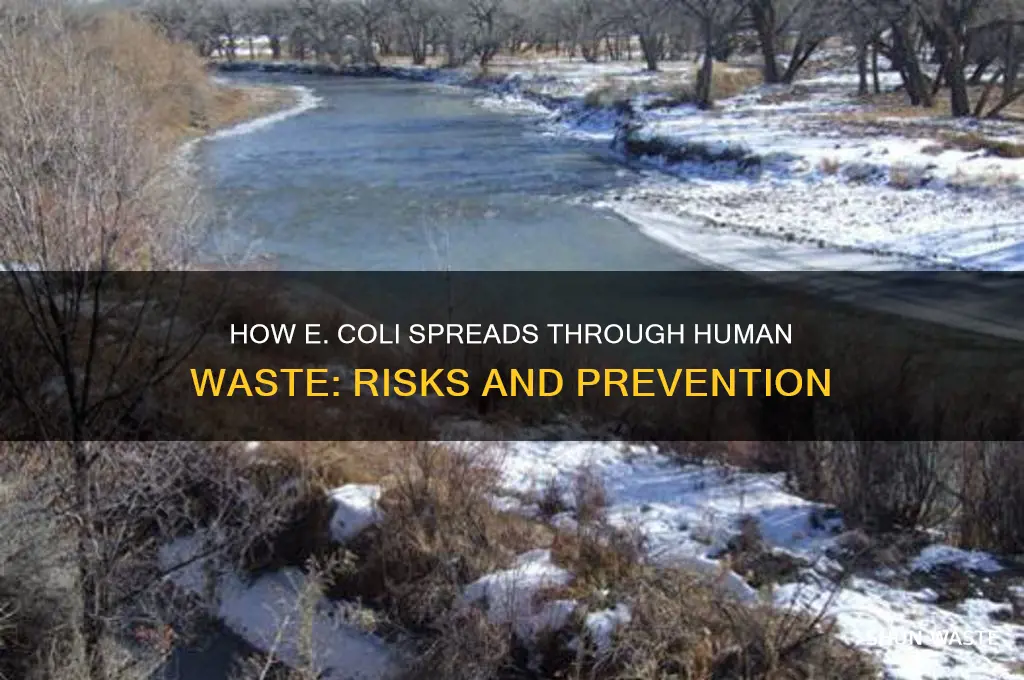 how is e coli spread from human waste