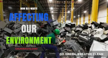 E-Waste Crisis: Environmental Impact and Urgent Solutions Needed
