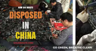China's E-Waste Disposal: Methods, Challenges, and Environmental Impact