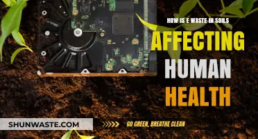 E-Waste in Soils: Unseen Dangers to Human Health Explored