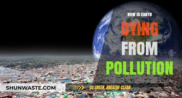Earth's Pollution: A Slow Death