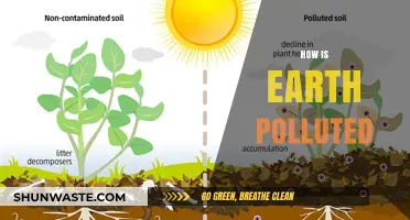 Humanity's Impact: Earth's Pollution Sources