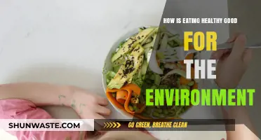 Sustainable Eating: How Healthy Diets Benefit Our Planet's Future