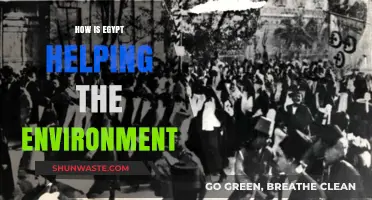 Egypt's Green Revolution: Environmental Initiatives for a Sustainable Future